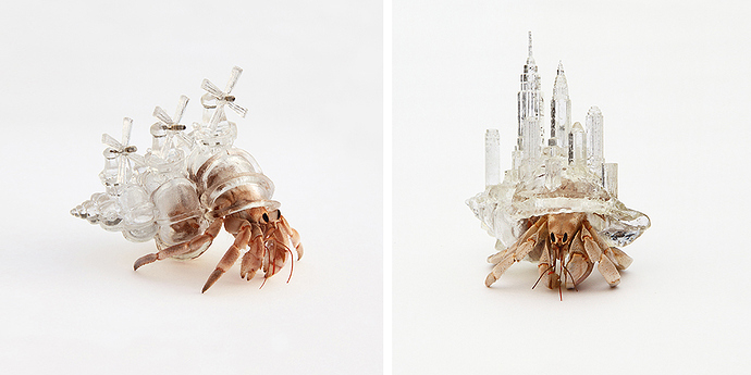 3d-printed-hermit-crab-architectural-shells-aki-inomata-fb