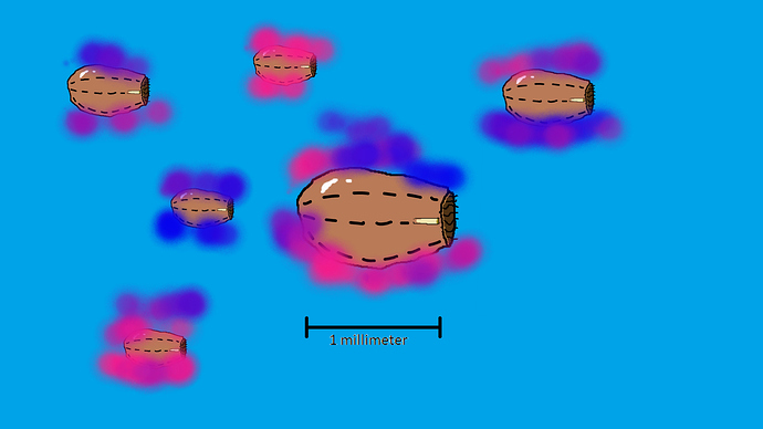 Drawing (3)