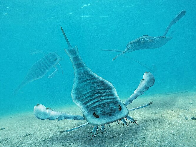 Eurypterus_Paleoart
