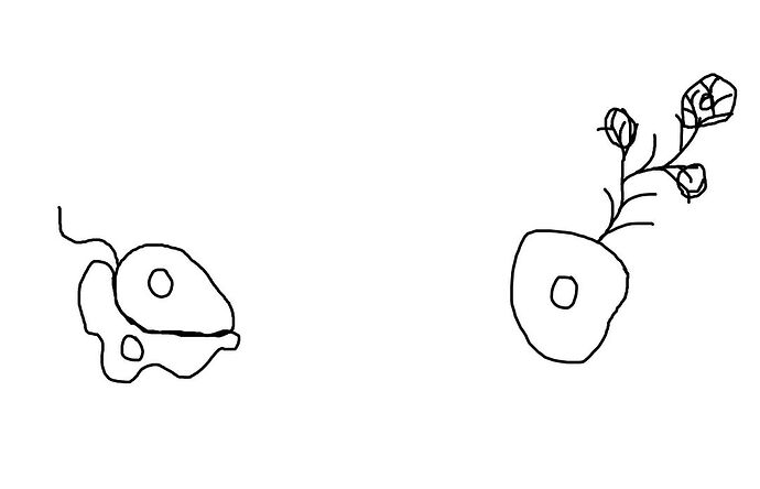 псевдоподии1