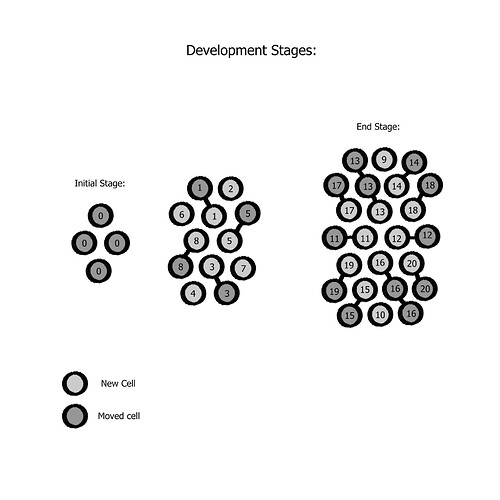 development stages 5