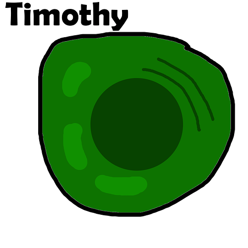 timothy