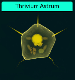 Thrivium Astrum