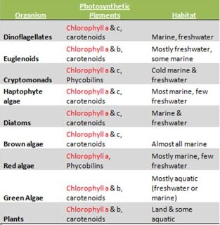 Chlorophyll table