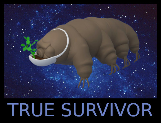 belgiumigrade--True_Survivor2