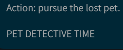 pet detective time